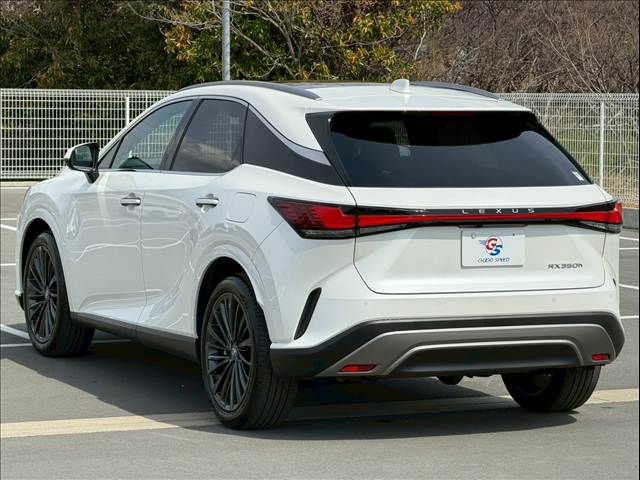 TOYOTA LEXUS RX350H 2023 Image 31