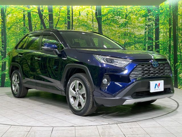 TOYOTA RAV4 HYBRID 4WD 2019 Image 31