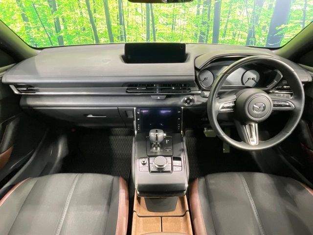 MAZDA MX-30 2020 Image 31