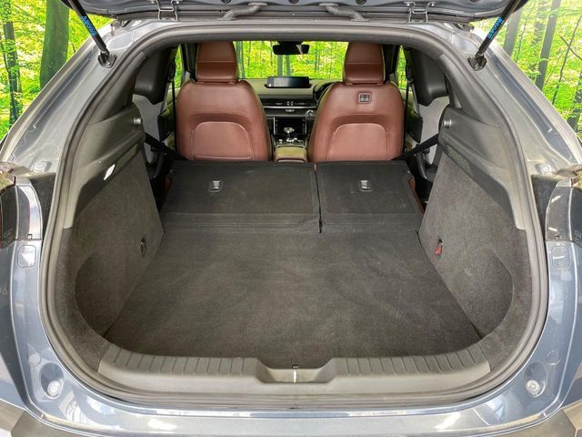 MAZDA MX-30 2020 Image 31