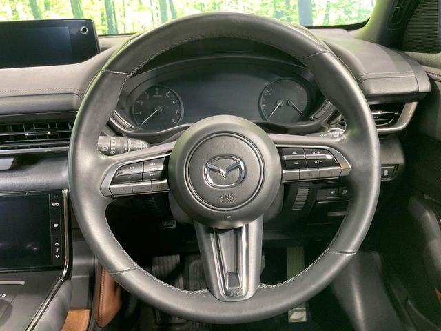 MAZDA MX-30 2020 Image 31