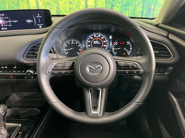 MAZDA CX-30 2024 Image 31