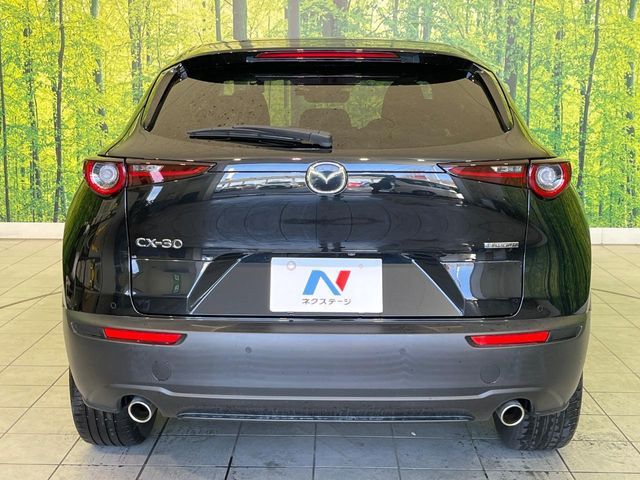 MAZDA CX-30 2024 Image 31