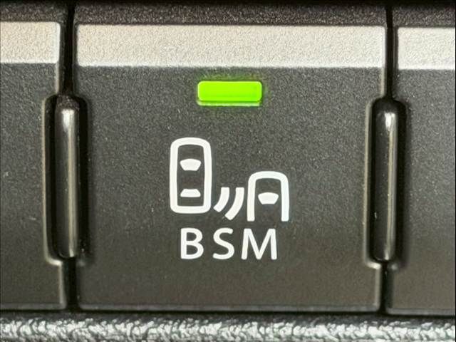 TOYOTA LEXUS NX300H 2018 Image 31