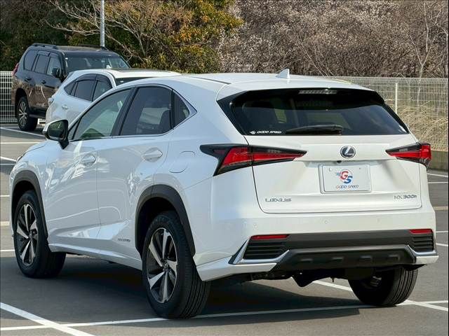 TOYOTA LEXUS NX300H 2018 Image 31