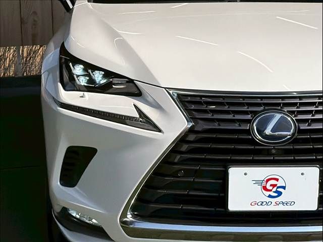 TOYOTA LEXUS NX300H 2018 Image 31