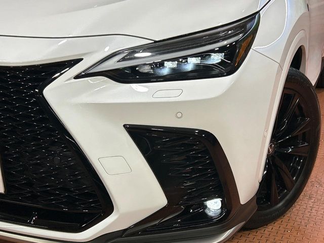 TOYOTA LEXUS NX350H 2023 Image 31