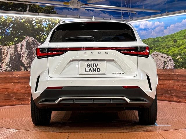 TOYOTA LEXUS NX350H 2023 Image 31