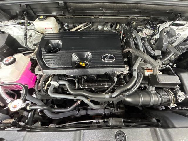 TOYOTA LEXUS NX350H 2023 Image 31