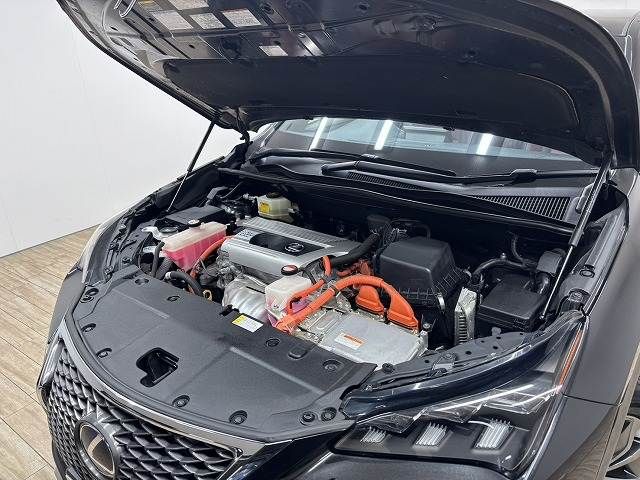 TOYOTA LEXUS NX300H 2015 Image 31