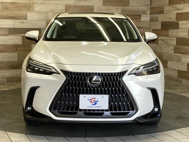 TOYOTA LEXUS NX250 2023 Image 31