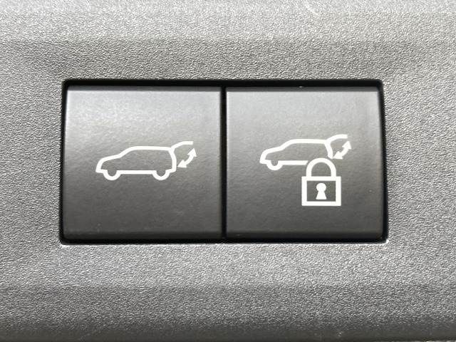 TOYOTA LEXUS NX250 2023 Image 31