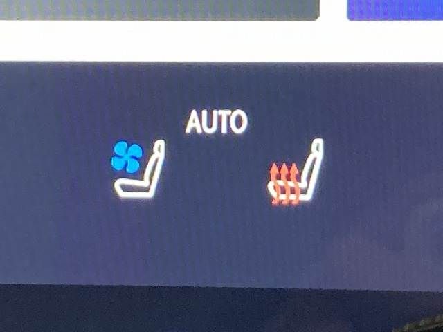 TOYOTA LEXUS NX250 2023 Image 31