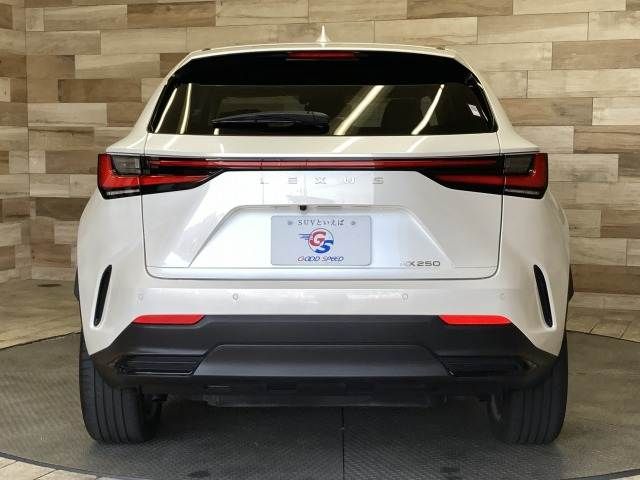 TOYOTA LEXUS NX250 2023 Image 31