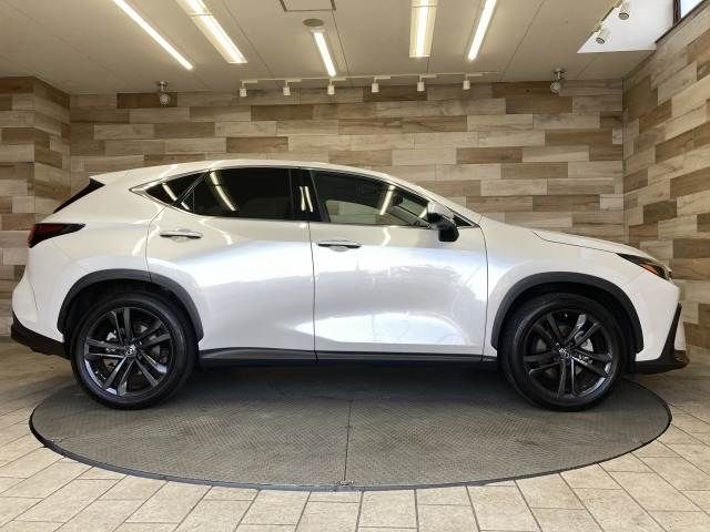 TOYOTA LEXUS NX250 2023 Image 31