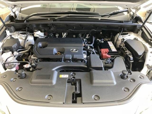 TOYOTA LEXUS NX250 2023 Image 31