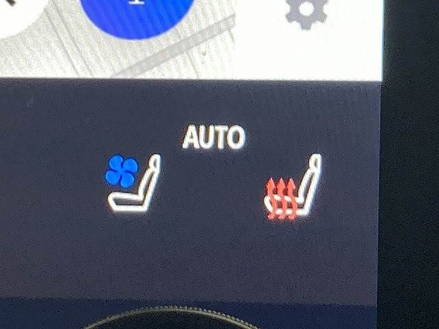 TOYOTA ALPHARD HYBRID 2024 Image 31