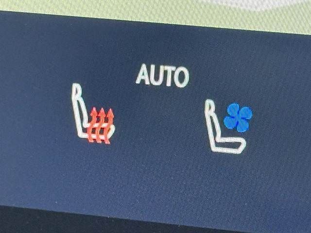 TOYOTA LEXUS NX450H+ AWD 2021 Image 31