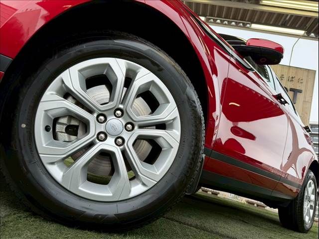 ROVER RANGE  EV 2021 Image 31