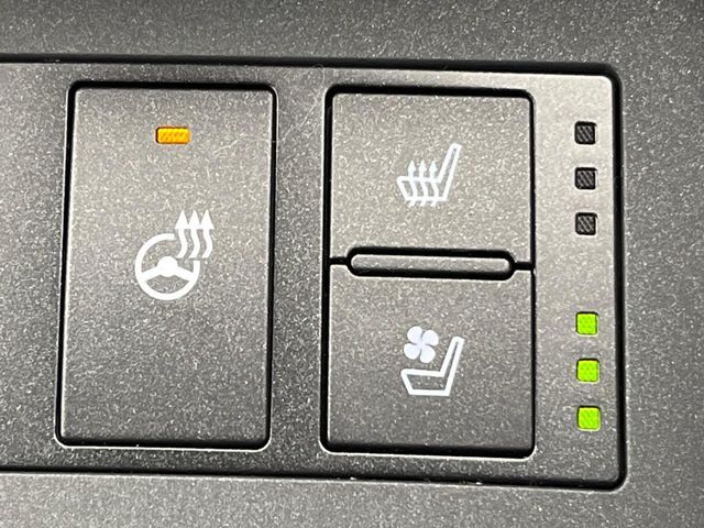 TOYOTA LEXUS IS300H 2022 Image 31