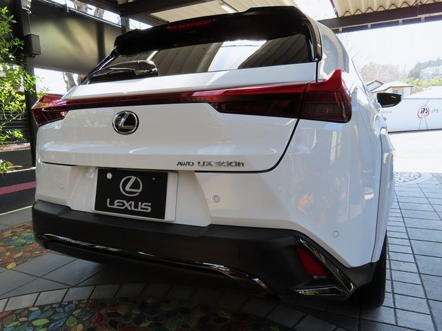TOYOTA LEXUS UX300H 2025 Image 31