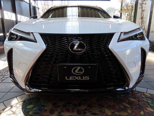 TOYOTA LEXUS UX300H 2025 Image 31