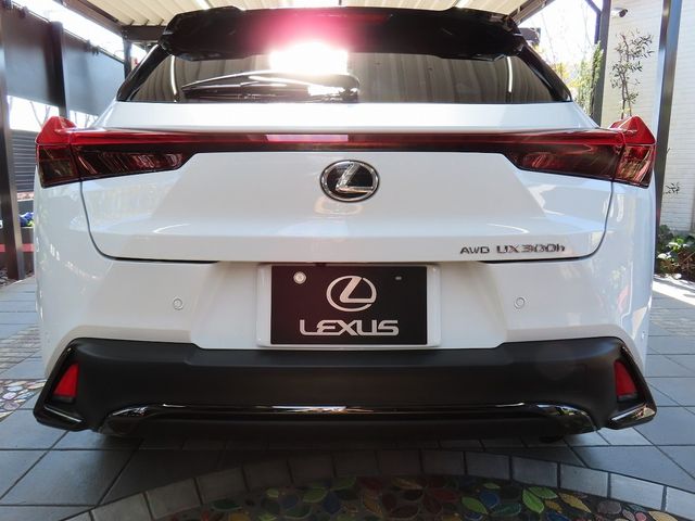 TOYOTA LEXUS UX300H 2025 Image 31