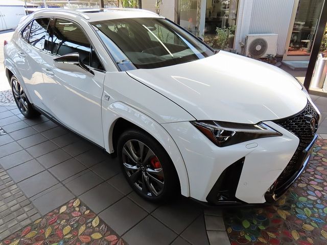 TOYOTA LEXUS UX300H 2025 Image 31