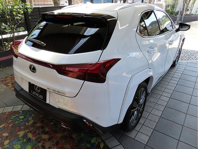 TOYOTA LEXUS UX300H 2025 Image 31
