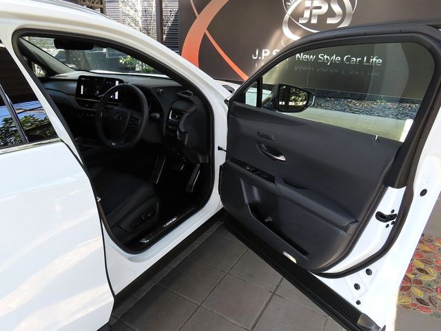 TOYOTA LEXUS UX300H 2025 Image 31
