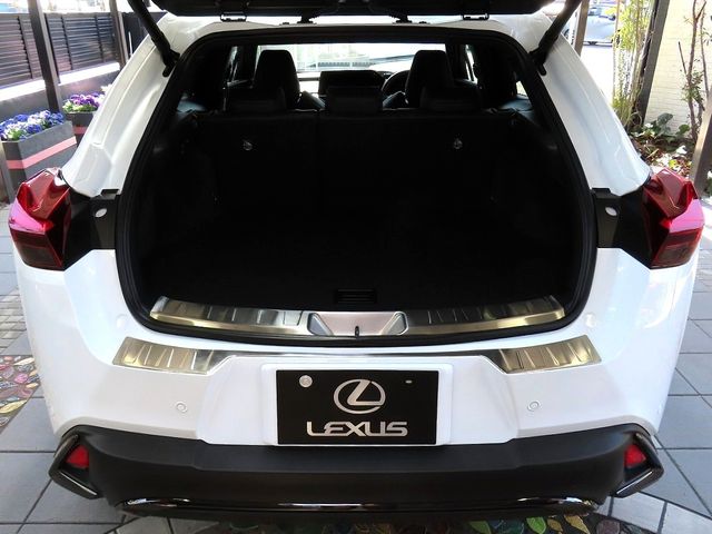 TOYOTA LEXUS UX300H 2025 Image 31