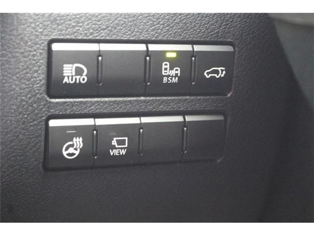 TOYOTA LEXUS NX300 2021 Image 31