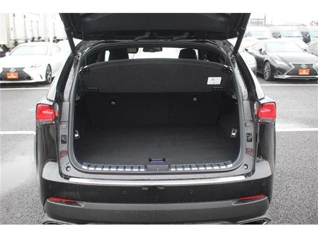 TOYOTA LEXUS NX300 2021 Image 31