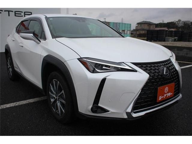 TOYOTA LEXUS UX300E 2022 Image 31