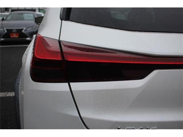 TOYOTA LEXUS UX300E 2022 Image 31