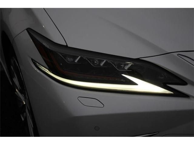 TOYOTA LEXUS ES300H 2021 Image 31