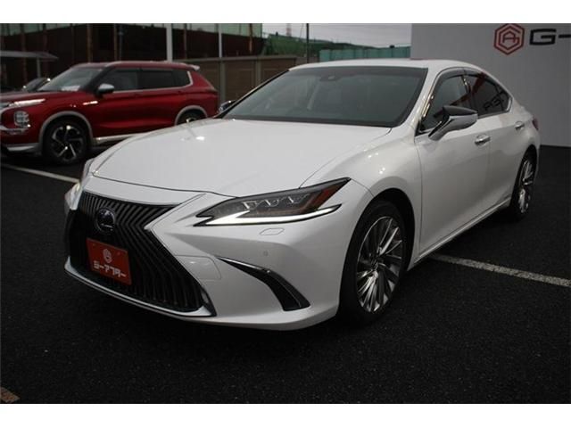 TOYOTA LEXUS ES300H 2021 Image 31