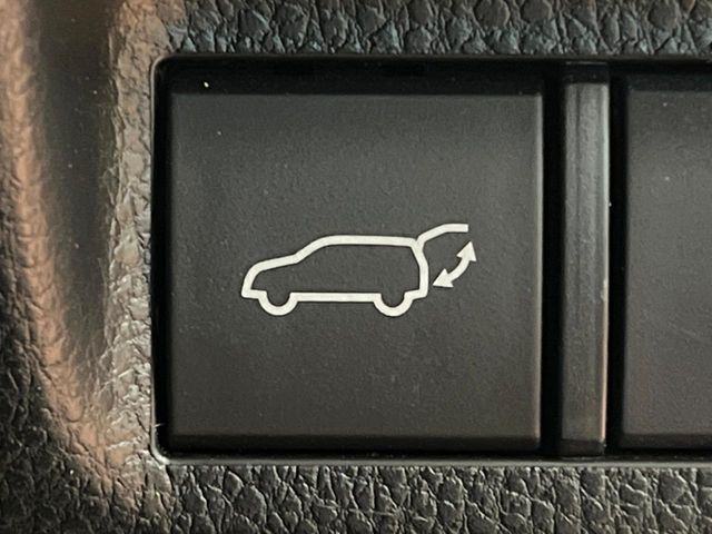 TOYOTA RAV4 4WD 2020 Image 31