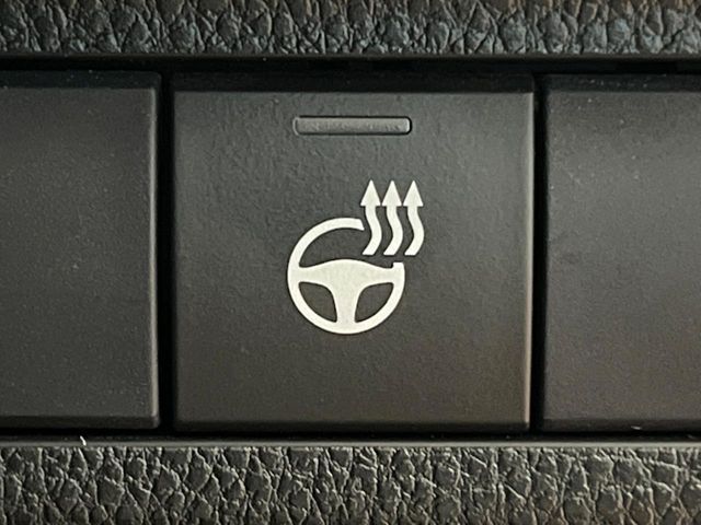 TOYOTA RAV4 4WD 2020 Image 31