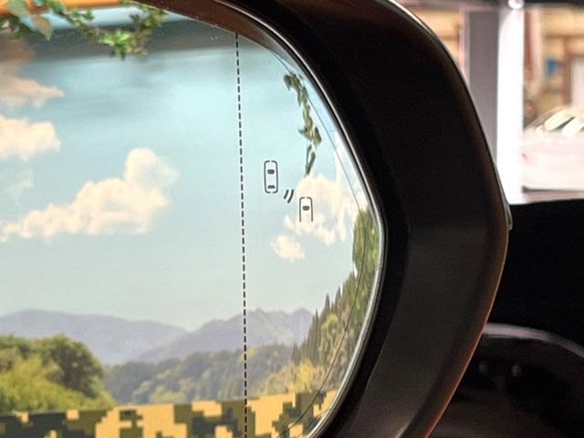 TOYOTA LEXUS RX450H AWD 2016 Image 31