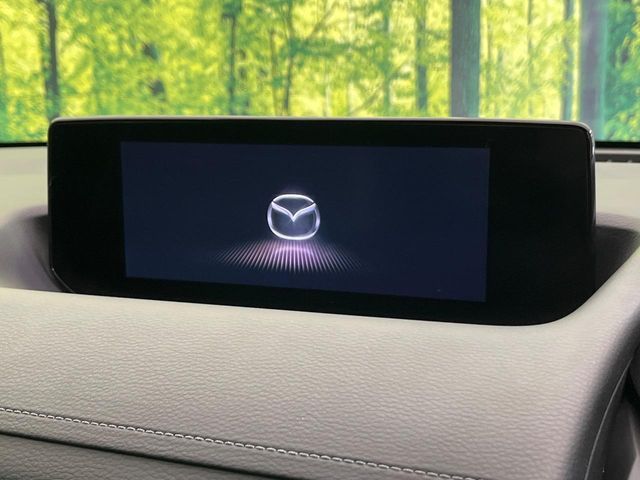 MAZDA MX-30 2020 Image 31