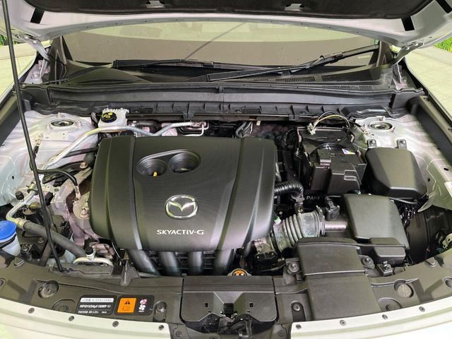 MAZDA MX-30 2020 Image 31