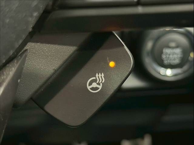 SUBARU FORESTER 2021 Image 31