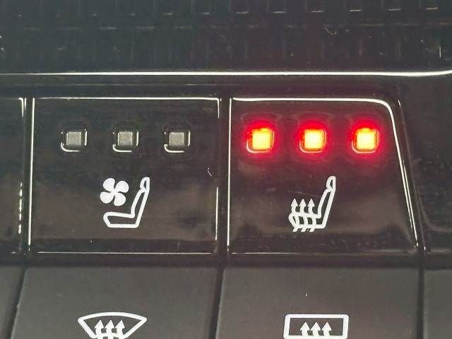 TOYOTA LANDCRUISER 250 2025 Image 31