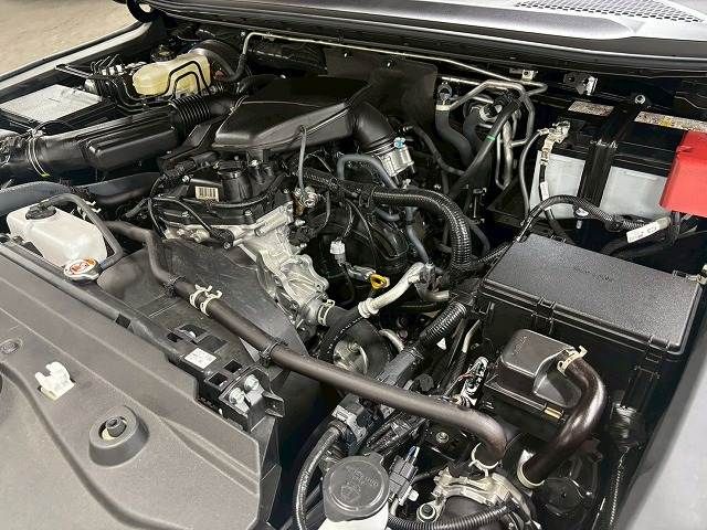 TOYOTA LANDCRUISER 250 2025 Image 31