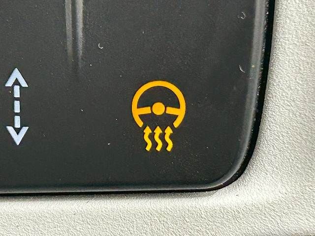 ROVER DEFENDER 2021 Image 31