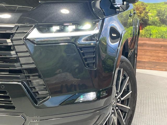 TOYOTA LEXUS GX550 2025 Image 31