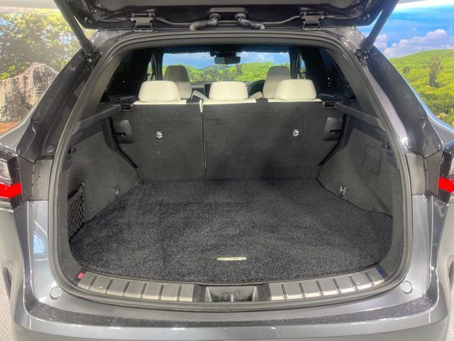 TOYOTA LEXUS NX350H 2024 Image 31