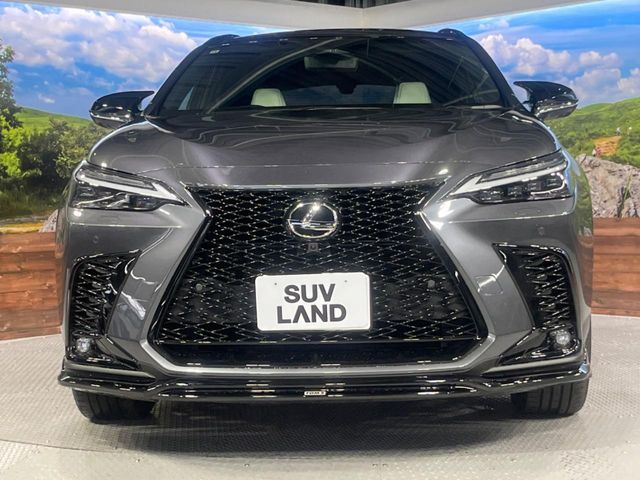 TOYOTA LEXUS NX350H 2024 Image 31