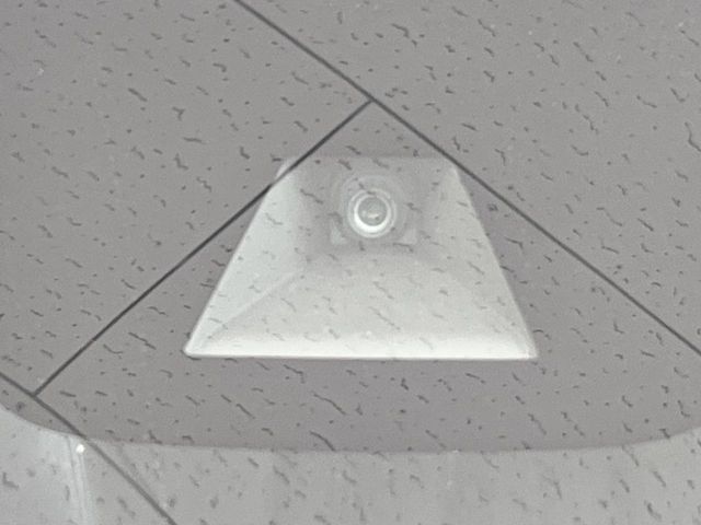 NISSAN DAYZ ROOX 2018 Image 31